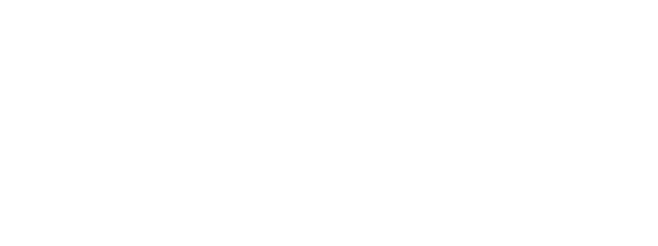 Fender